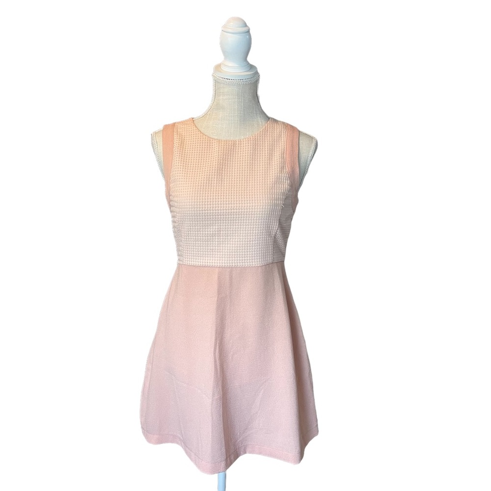 Elodie Blush Floral Embroidered Dress
